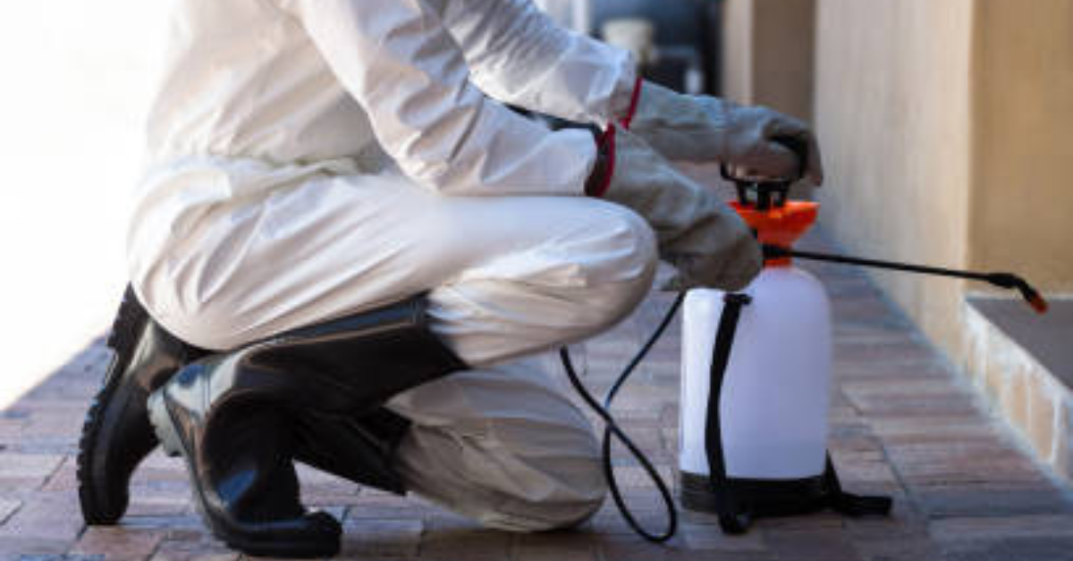 10 Signs You Might Have a Pest Infestation Before You Actually See the Pests