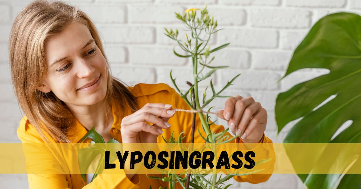 lyposingrass